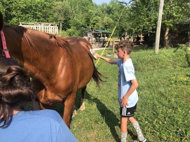 2022 Horseback Riding